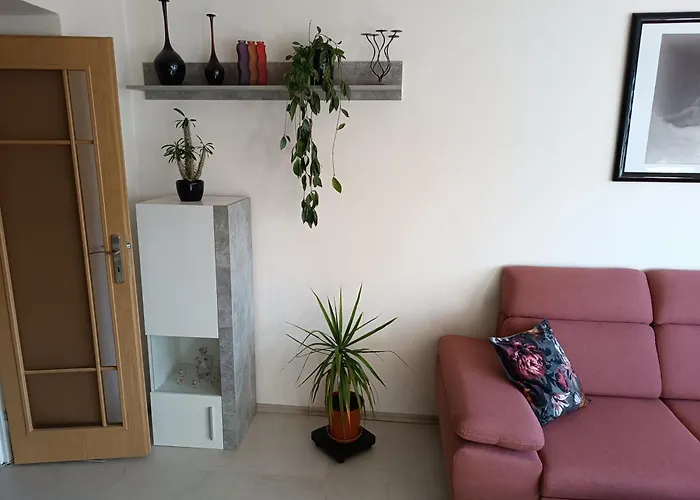 Kolarova Mechurova 120 *